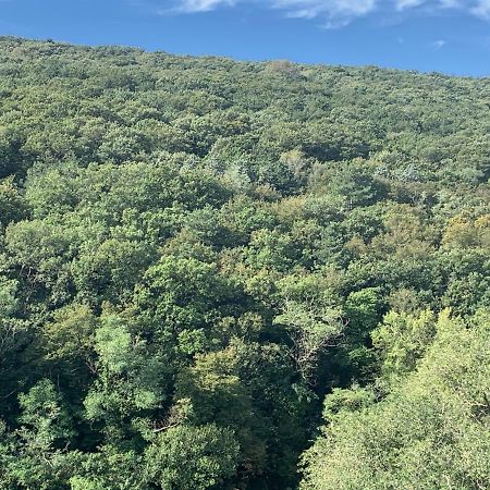 טריאסטה Al Bosco Incantato מראה חיצוני תמונה